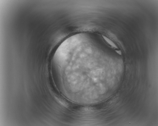 X0000063470250200602031907