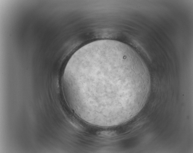 X0000063470251200602031907