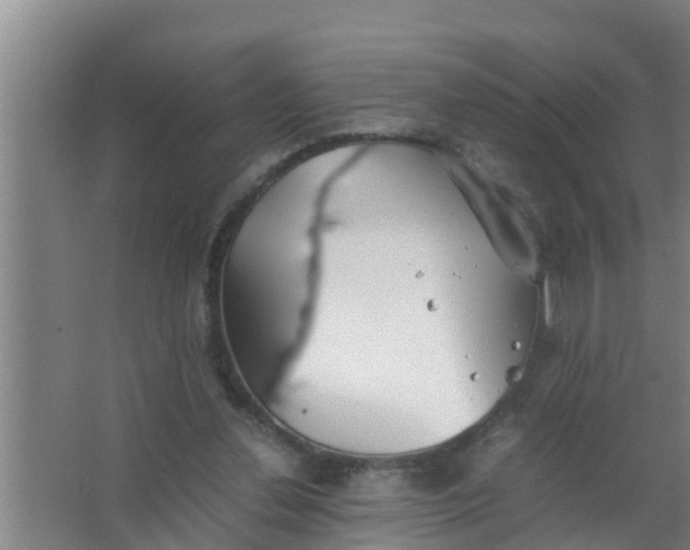 X0000063470252200602031907