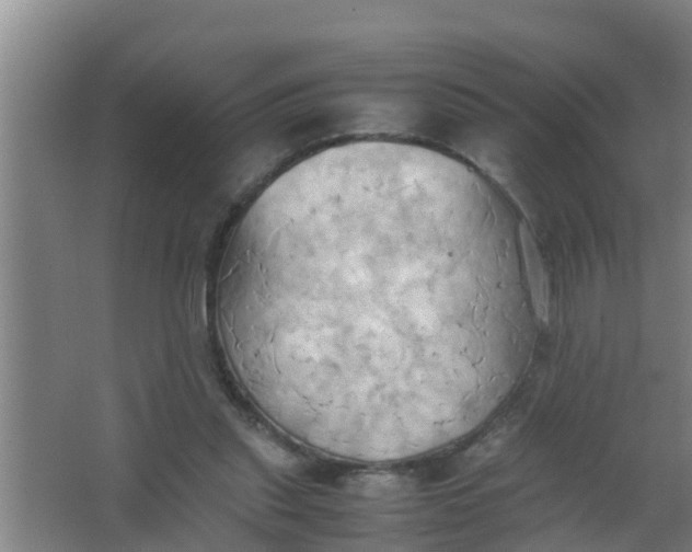 X0000063470253200602031907