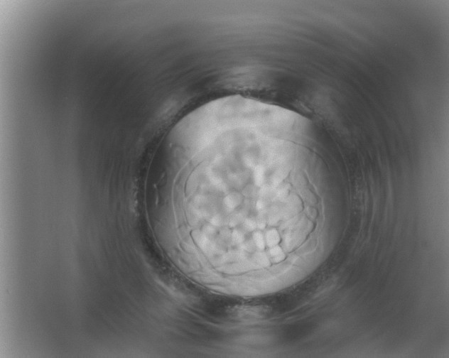 X0000063470255200602031907