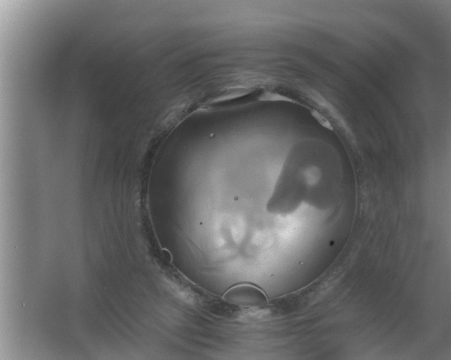 X0000063470257200602031907