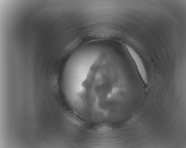 X0000063470258200602031907