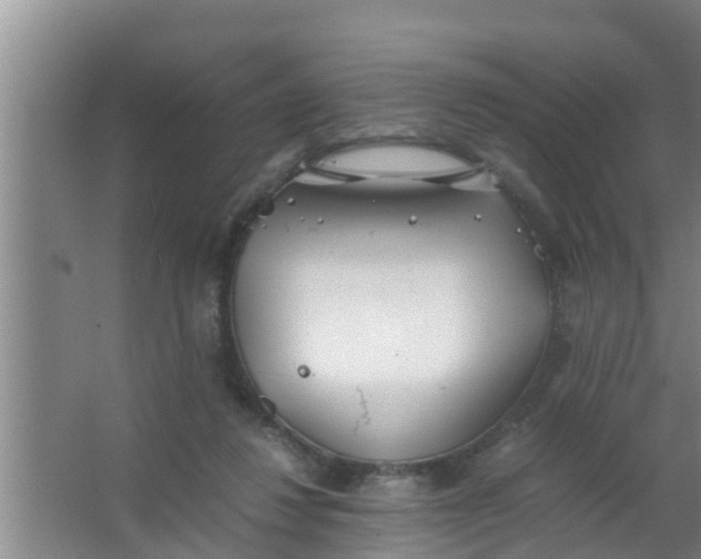 X0000063470260200602031907