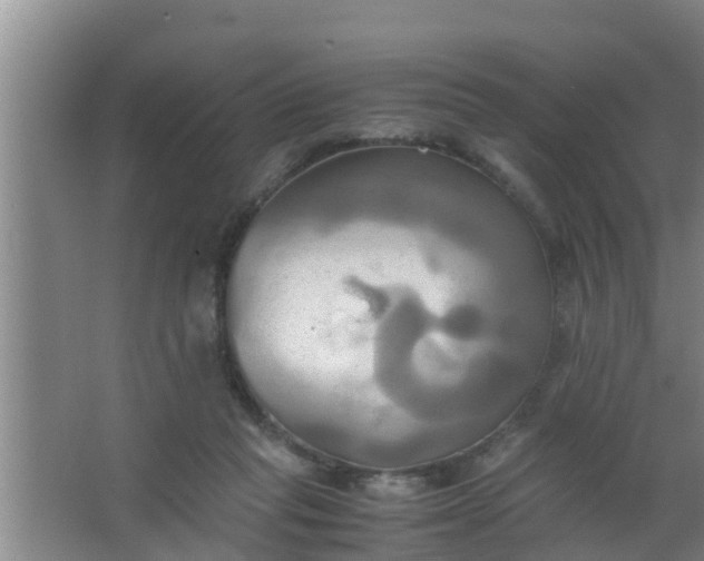 X0000063470261200602031907