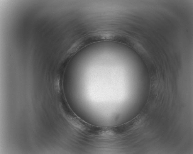 X0000063470262200602031907