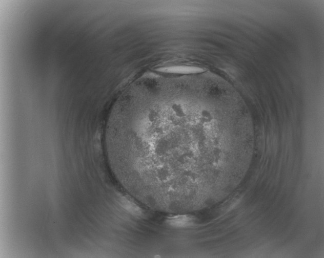 X0000063470269200602031907