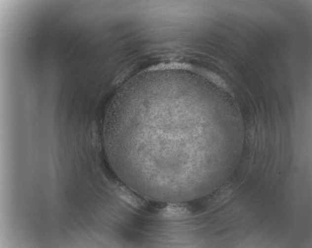 X0000063470270200602031907