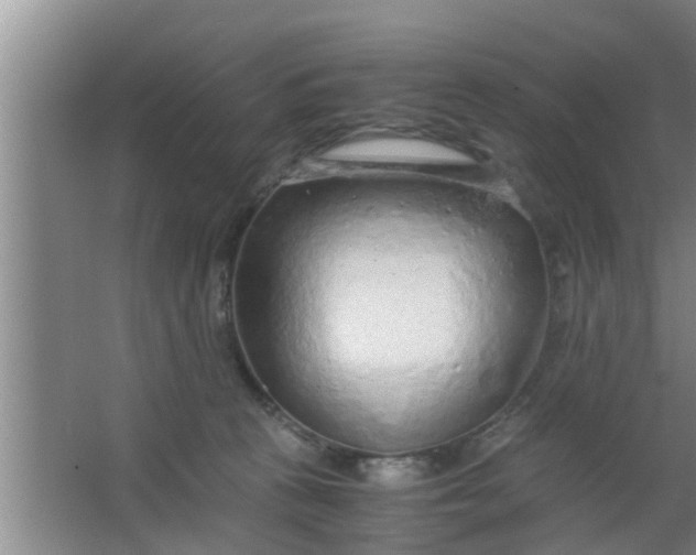 X0000063470273200602031907