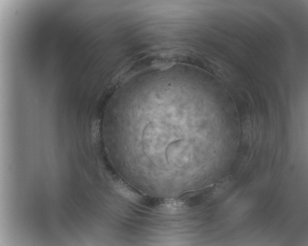 X0000063470278200602031907