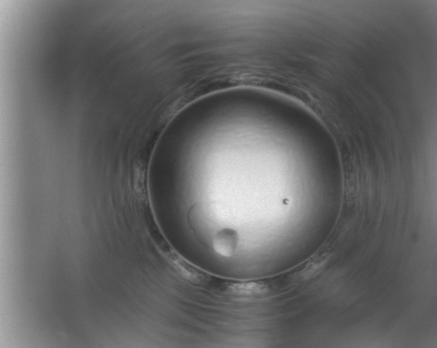 X0000063470281200602031907