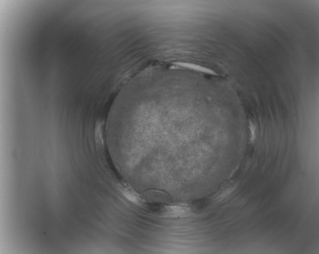 X0000063470286200602031908