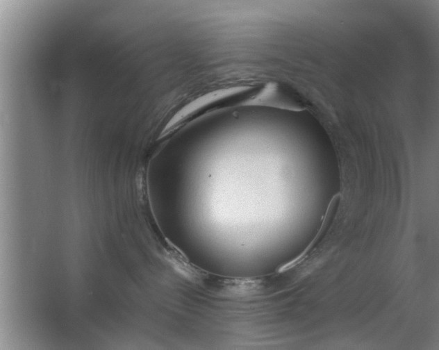 X0000063470288200602031908