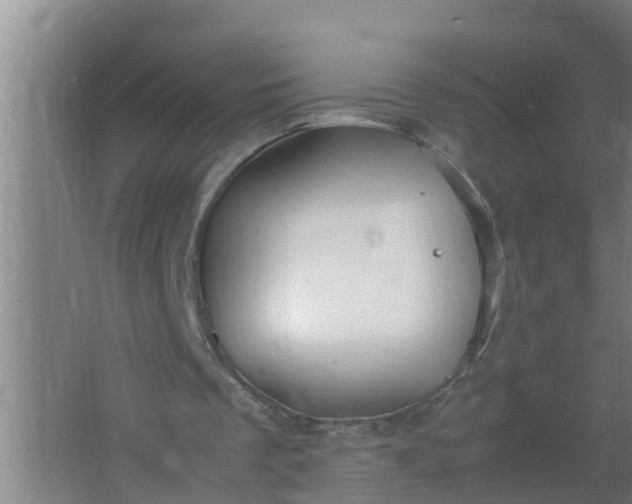 X0000063470289200602031907