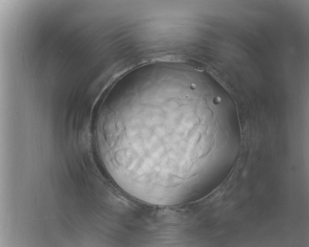 X0000063470290200602031907