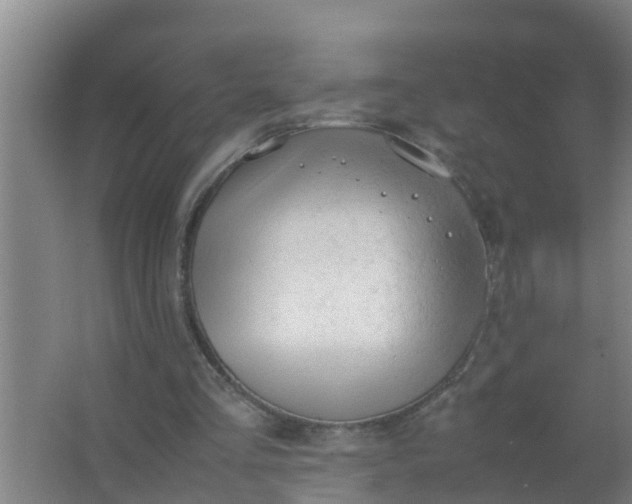 X0000063470293200602031907