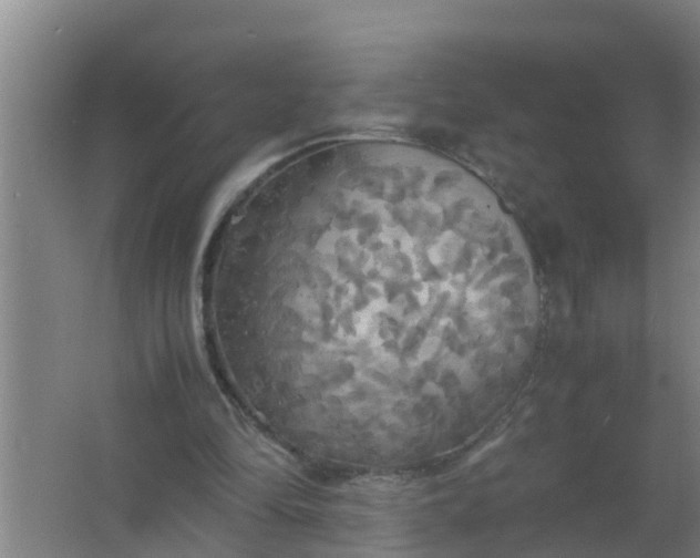 X0000063470294200602031907