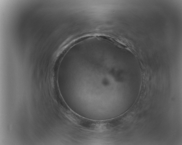 X0000063470295200602031907