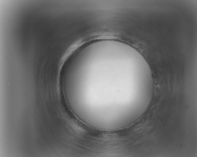 X0000063470296200602031907