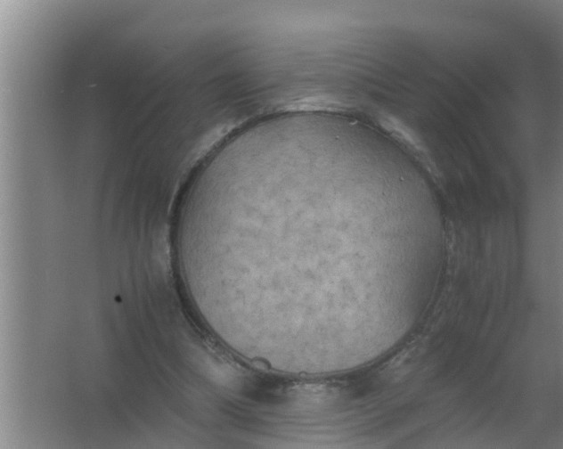 X0000063470298200602031907