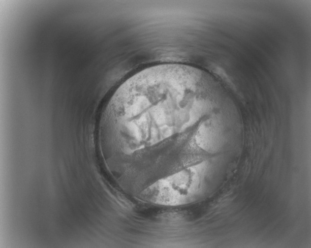 X0000063470299200602031907