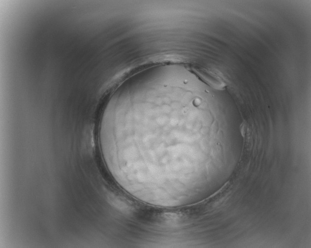 X0000063470302200602031907