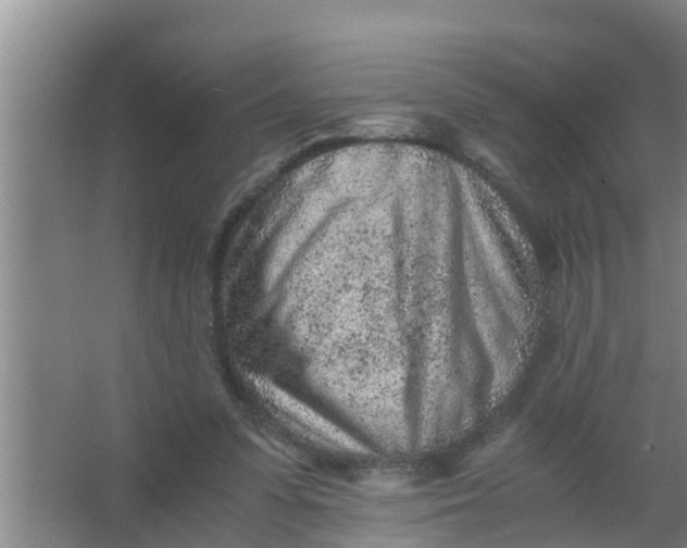 X0000063470303200602031907