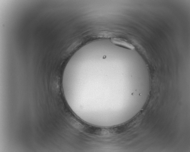 X0000063470305200602031907