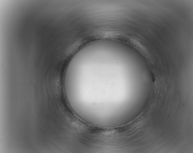 X0000063470306200602031907