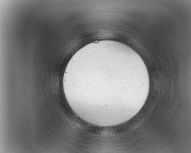 X0000063470308200602031906