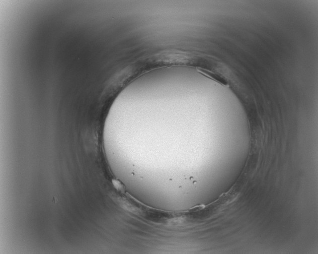 X0000063470309200602031906