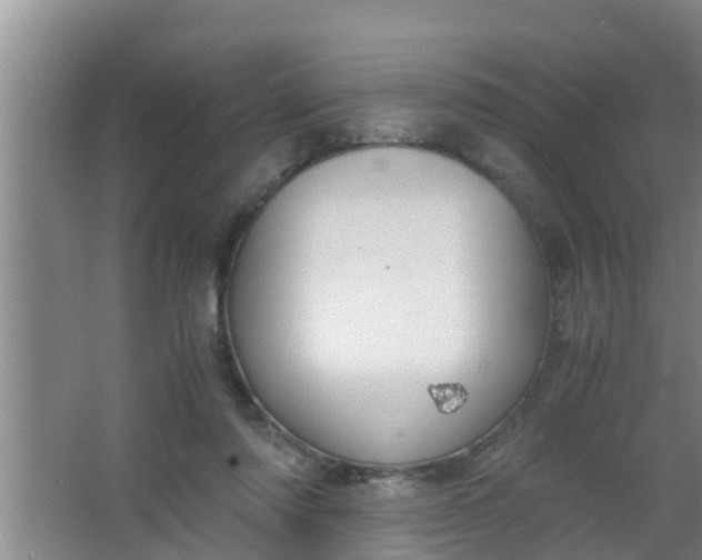 X0000063470310200602031906