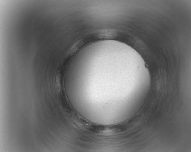 X0000063470312200602031906