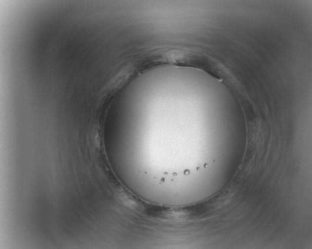 X0000063470313200602031906