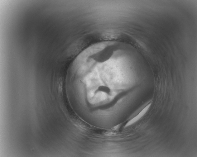 X0000063470315200602031906