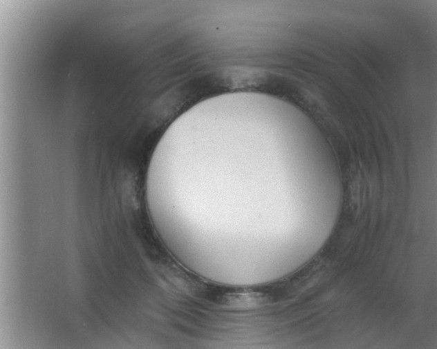 X0000063470316200602031906