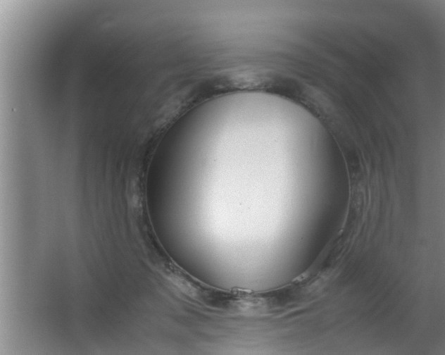 X0000063470317200602031906