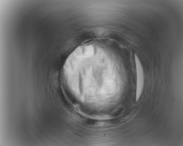 X0000063470319200602031906