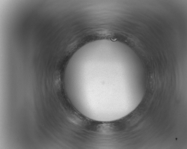 X0000063470320200602031906