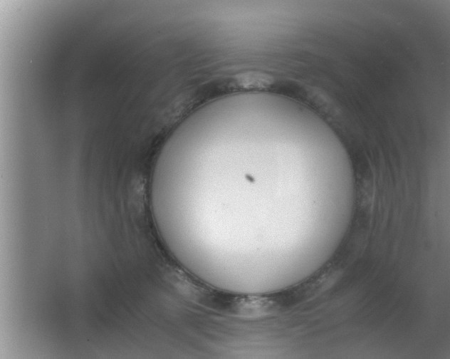 X0000063470321200602031906