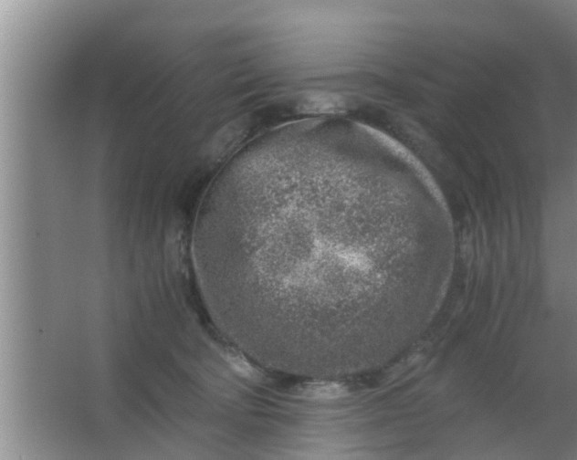 X0000063470322200602031906