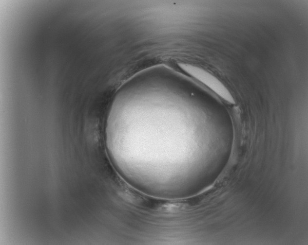 X0000063470323200602031906