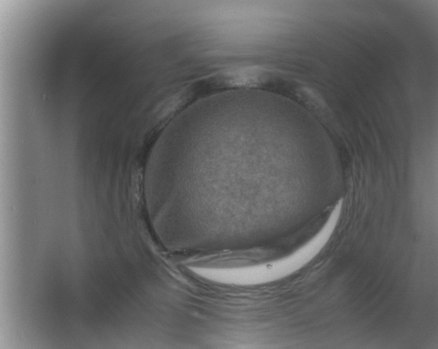 X0000063470325200602031906