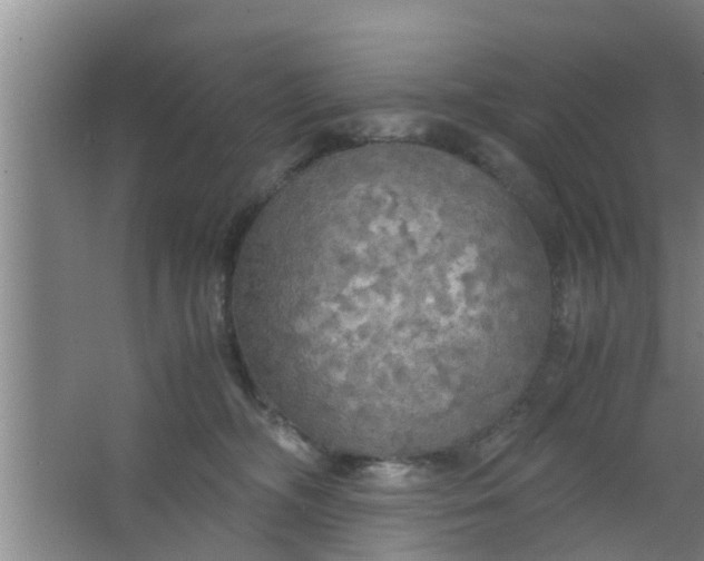 X0000063470326200602031906