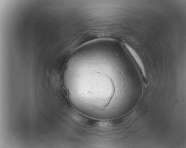 X0000063470327200602031906