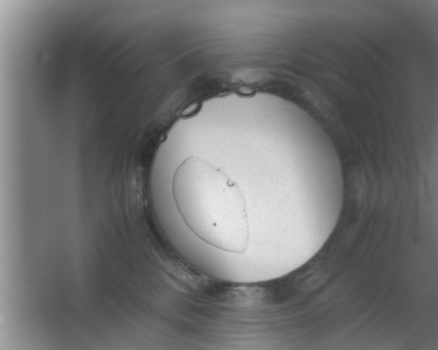 X0000063470328200602031906