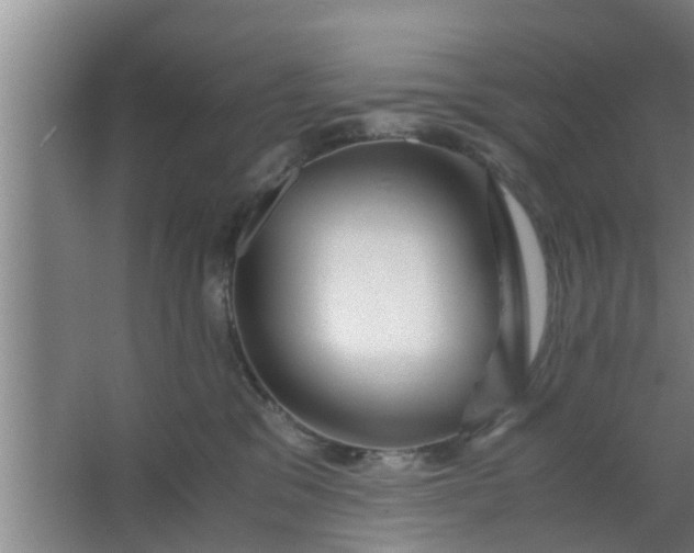 X0000063470329200602031906