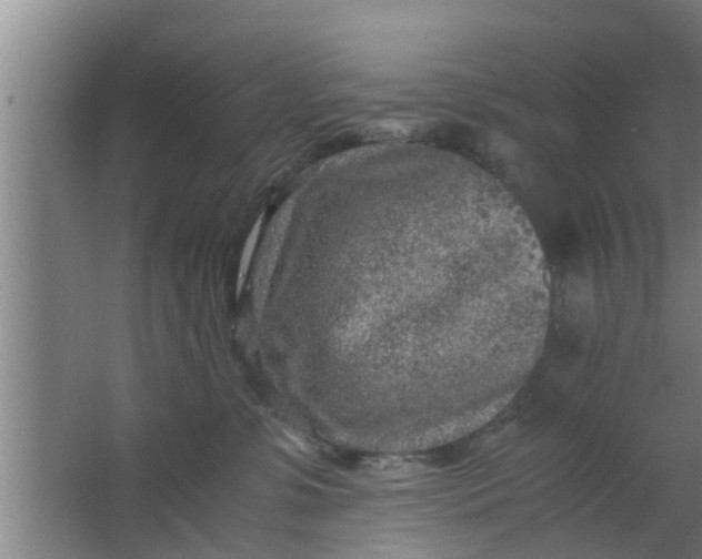 X0000063470331200602031906