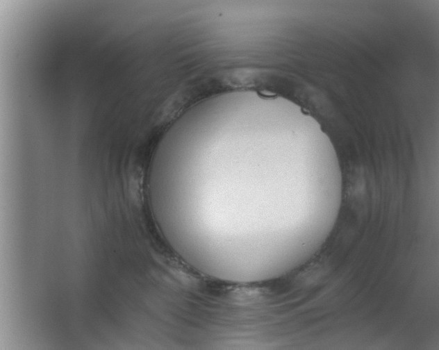 X0000063470332200602031906