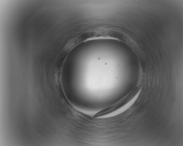 X0000063470333200602031906